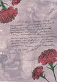 Альбом памяти ''Поезд Победы'' (стр. 50).jpg
