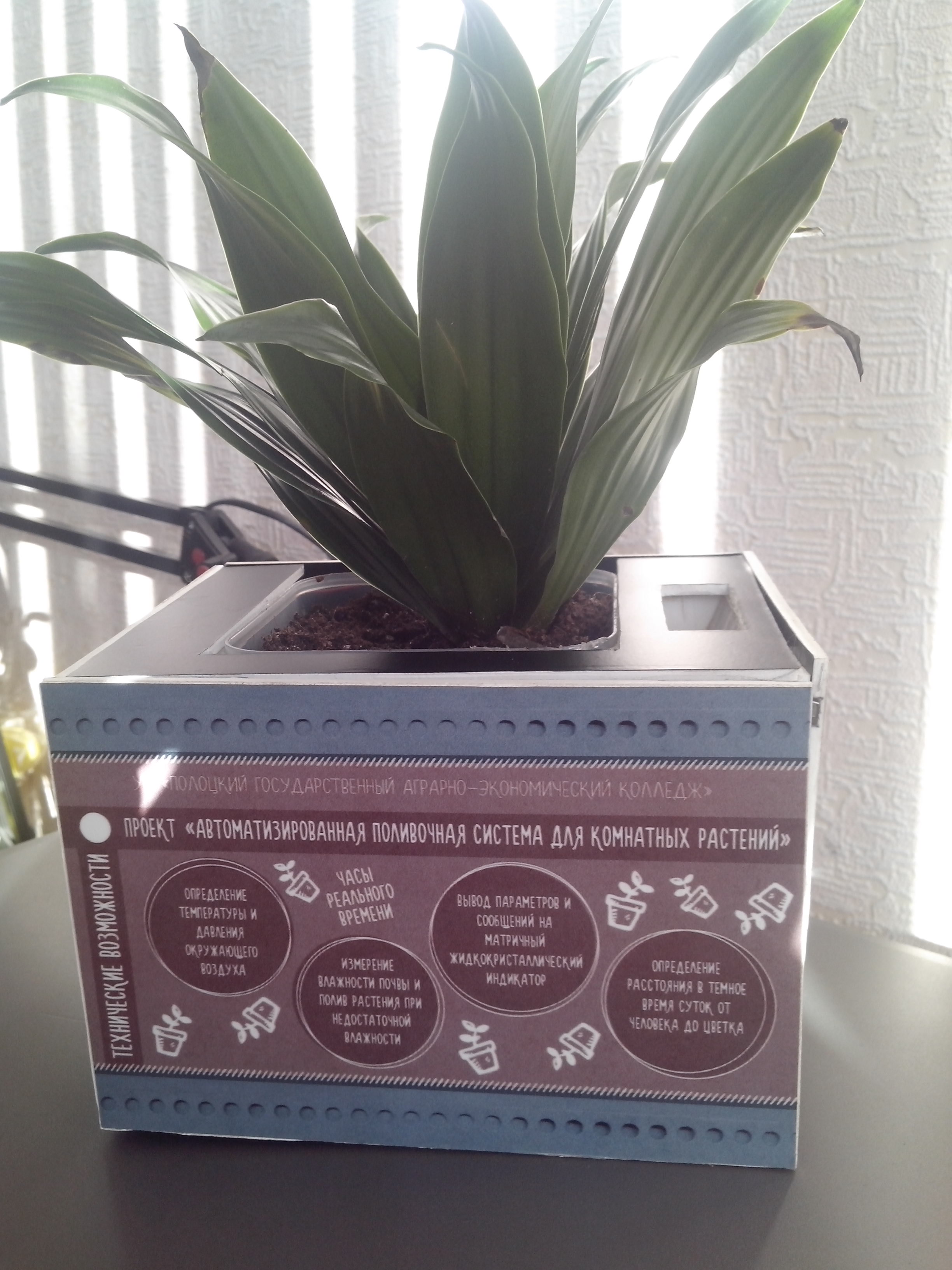 Фото экспоната