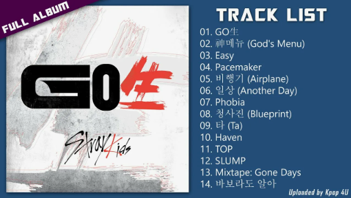 Stray Kids: Unlock - Go Live in Life 